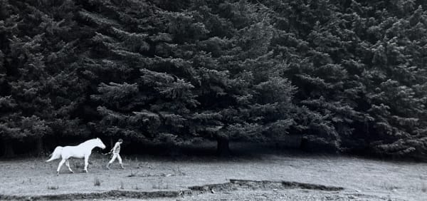 Wolfgang Suschitzky, White horse for a walk, c.1965