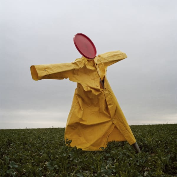 Peter Mitchell, Scarecrow, 2016