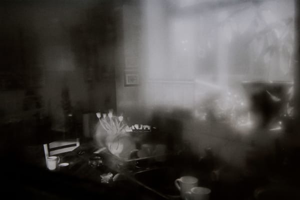 John Blakemore, Tulips from "Kitchen" series, 1988