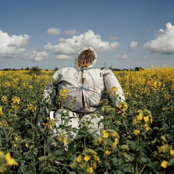 Peter Mitchell, Scarecrow, 2016