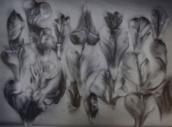 John Blakemore, Tulipa - Garden of Earthly Delights No.1 - Version 3, 2004