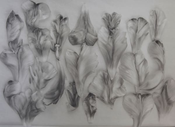 John Blakemore, Tulipa - Garden of Earthly Delights No.1 - Version 2, 2004