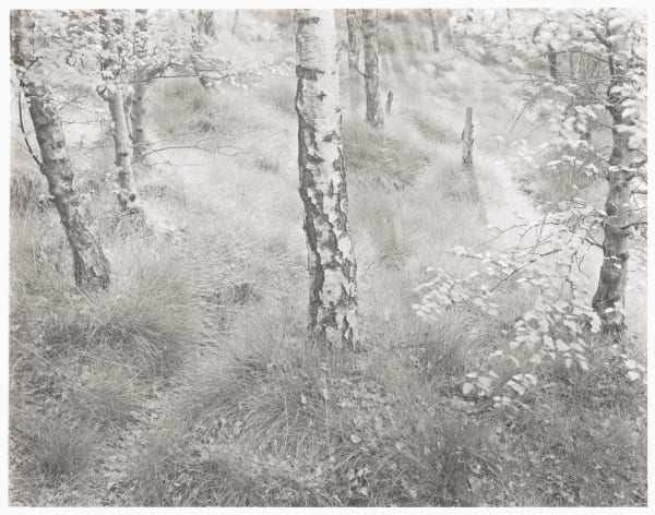 John Blakemore, From "Lila" Sequence 2 (Shirley, Derbyshire), 1976