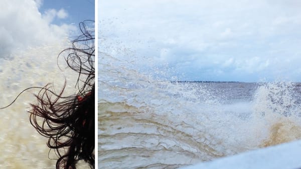 Roshini Kempadoo, Like Gold Dust, 2019