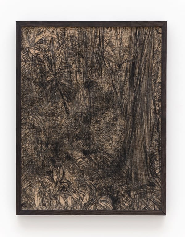 Haley Mellin TB 5.4661ºN, 90.7765ºW, 2022 Charcoal on linen 26 x 20 inches 66 x 50.8 centimeters 27 x 21 inches (framed) 68.6 x 53.3 centimeters (framed)