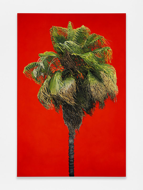 Jason Mason Red Palm, 2024 Flashe and acrylic on canvas 72 x 48 in (182.9 x 121.9 cm)