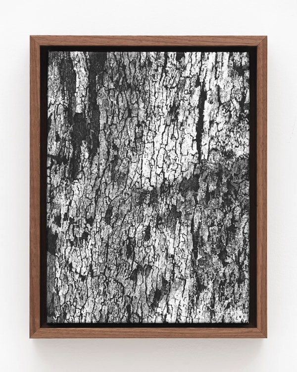 Haley Mellin CT 15.4646°N, 90.7794°W, 2022 Gouache on canvas in artist's frame 11.5 x 8.5 inches 29.2 x 21.6 centimeters 12.75 x 10 inches (framed) 32.4 x 25.4 centimeters (framed)