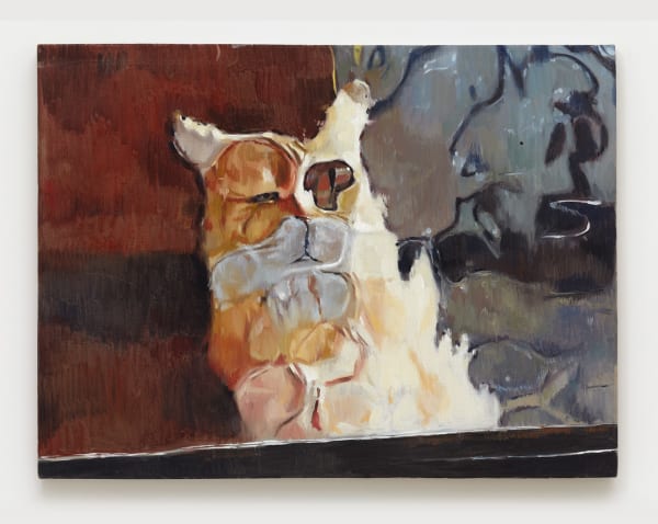 Oliver Clegg Ali Baba, 2021 Oil on linen 30 x 40 in (76.2 x 101.6 cm)