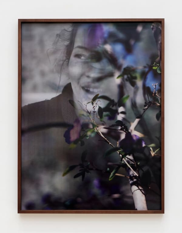 Yves Scherer Govone, 2023 Lenticular photograph 65.75 x 50 x 2.75 in (167 x 127 x 7 cm)