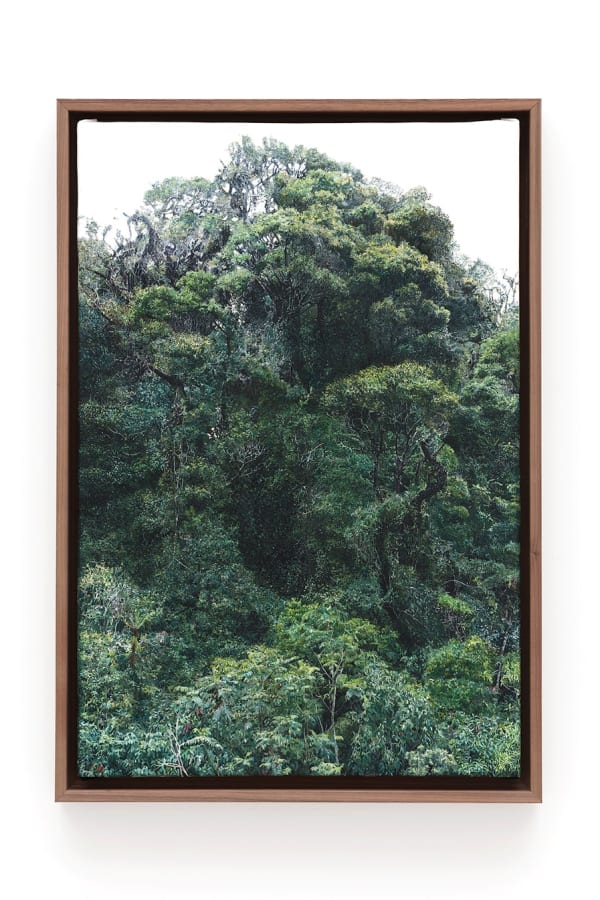 Haley Mellin AV 15.4796°N, 90.774°W, 2022 Gouache on canvas in artist's frame 24 x 16.25 inches 61 x 41.3 centimeters 25.75 x 17.75 inches (framed) 65.4 x 45.1 centimeters (framed)