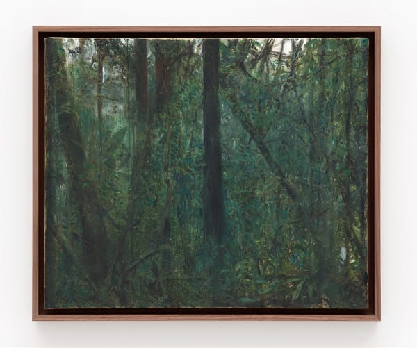 Haley Mellin CW 15.4671°N, 90.7777°W, 2022 Gouache on canvas in artist's frame 20 x 24 inches 50.8 x 61 centimeters 21.75 x 25.75 inches (framed) 55.2 x 65.4 centimeters (framed)