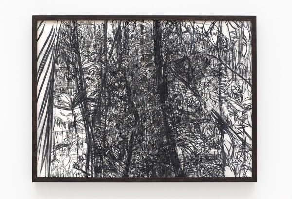 Haley Mellin DA 15.4612ºN, 90.7766ºW, 2022 Charcoal on linen 22 x 30 inches 55.9 x 76.2 centimeters 23 x 31 inches (framed) 58.4 x 78.7 centimeters (framed)