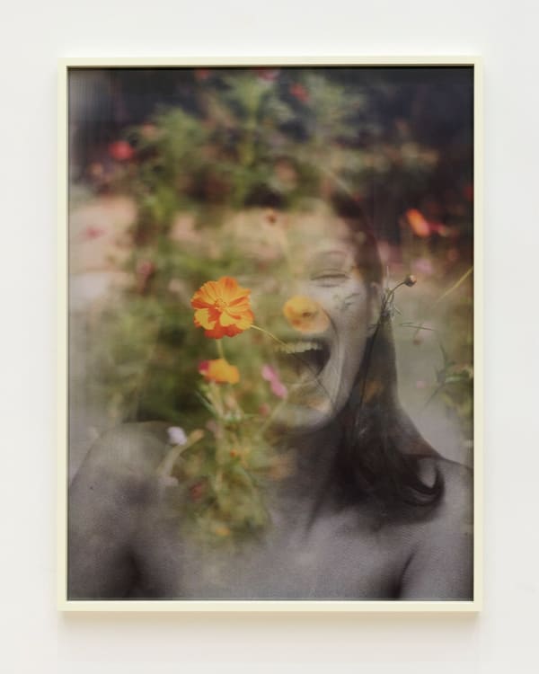 Yves Scherer Lourmarin, 2023 Lenticular photograph 65.75 x 50 in (167 x 127 cm)