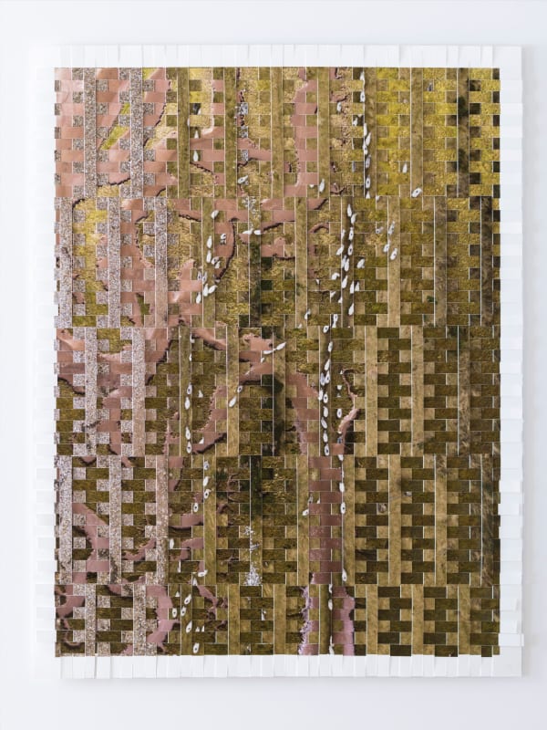 Kieran Dodds, East Lothian, Easter Ross (Faultlines), 2023