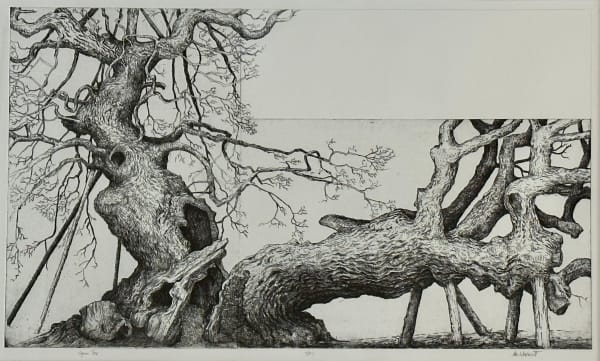Ian Westacott, Capon Tree