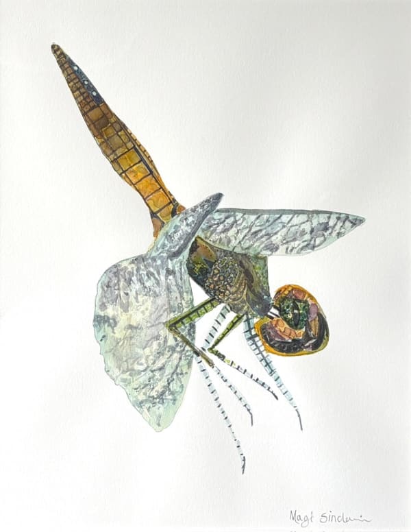 Other Worldly, Dragonfly