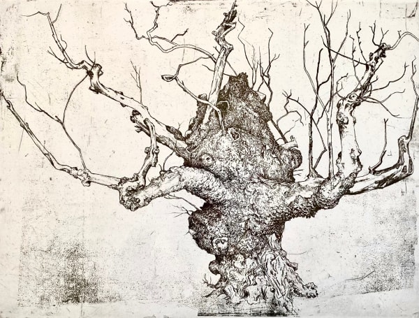 Ian Westacott, Wych Elm, The Entrance, Beauty Priory, 2022