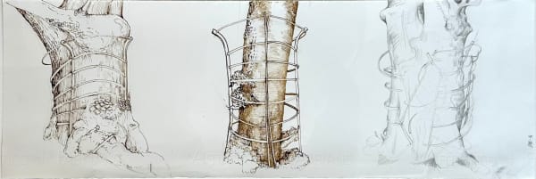 Ian Westacott, Gusichan Trees I, 2012-14