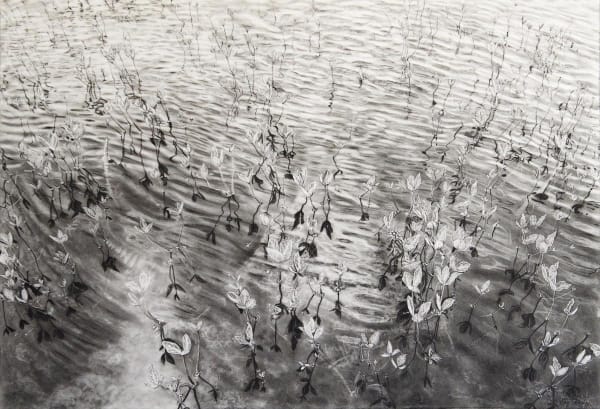 Magi Sinclair, Menyananthes Trifoliata