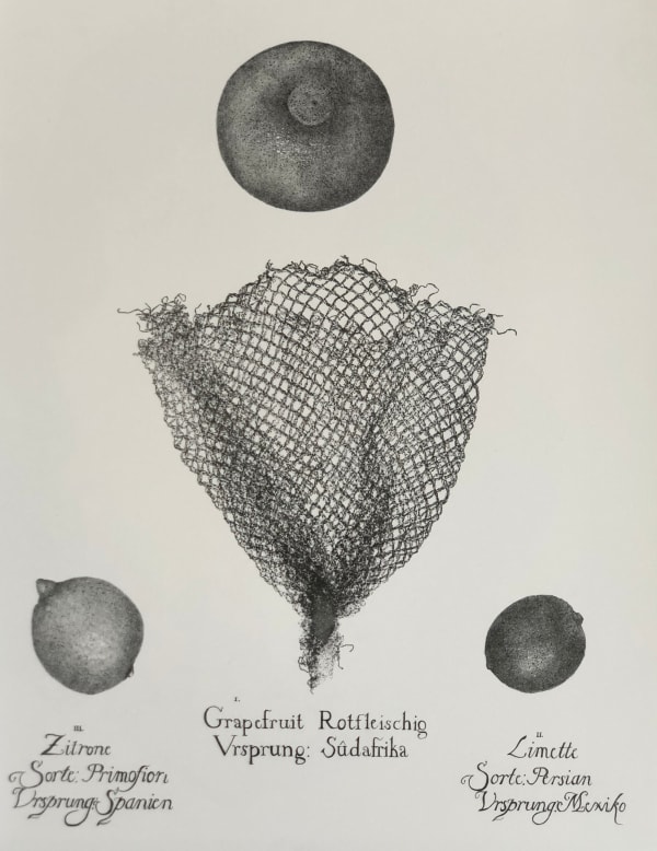 Jodi Le Bigre, November Frucht II 4/10