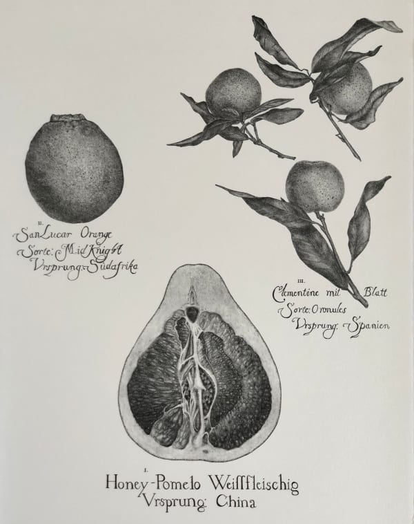 Jodi Le Bigre, November Frucht I 20/20