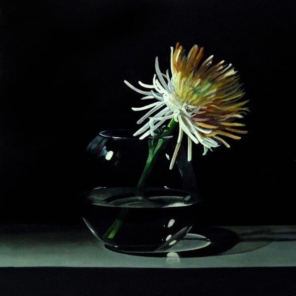 Chrysanthemun In A Bowl