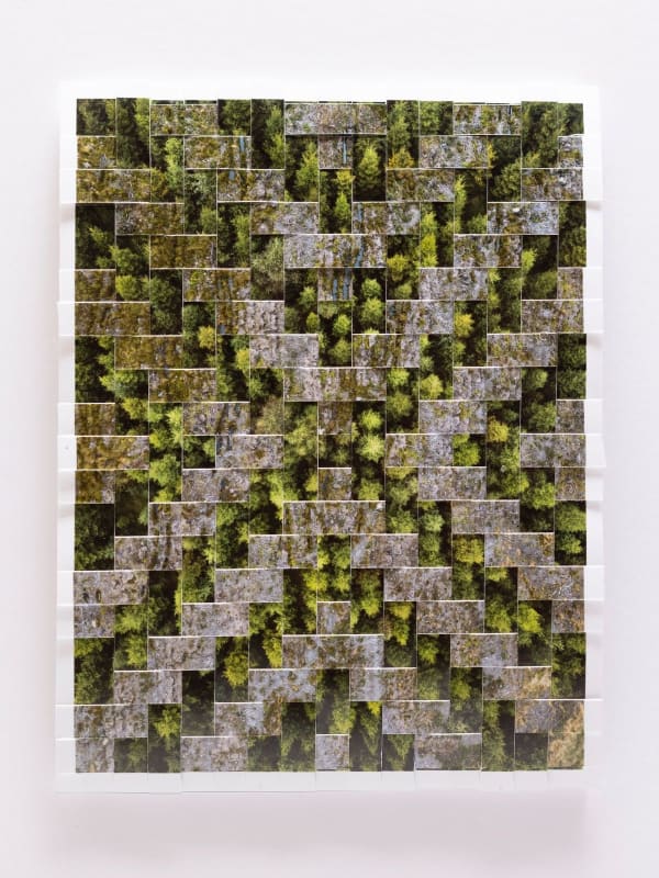 Kieran Dodds, Lamancha Plantation, Cleared Study (Saltire), 2023