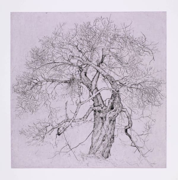 Ian Westacott The Gean (Cherry) - Sgiheach River Artist Proof 1