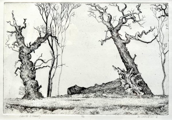 Ian Westacott, Sutor Road I Cromarty, 2017-18