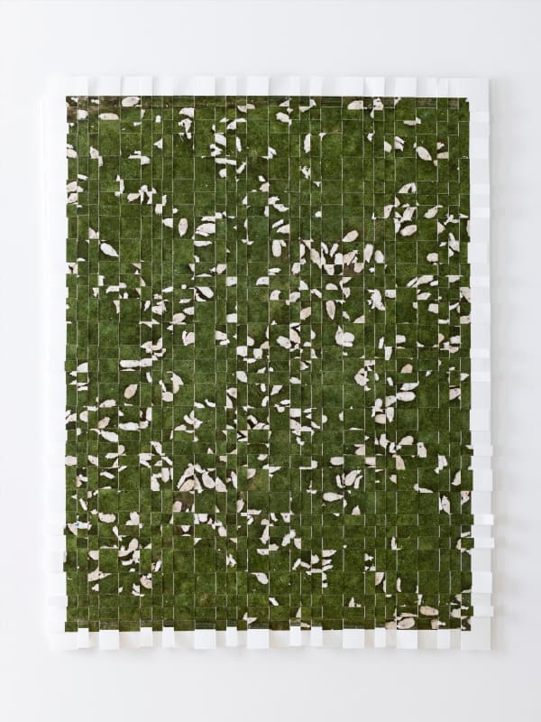 Kieran Dodds, Scattered Flock, Peebles (Ancient), 2023