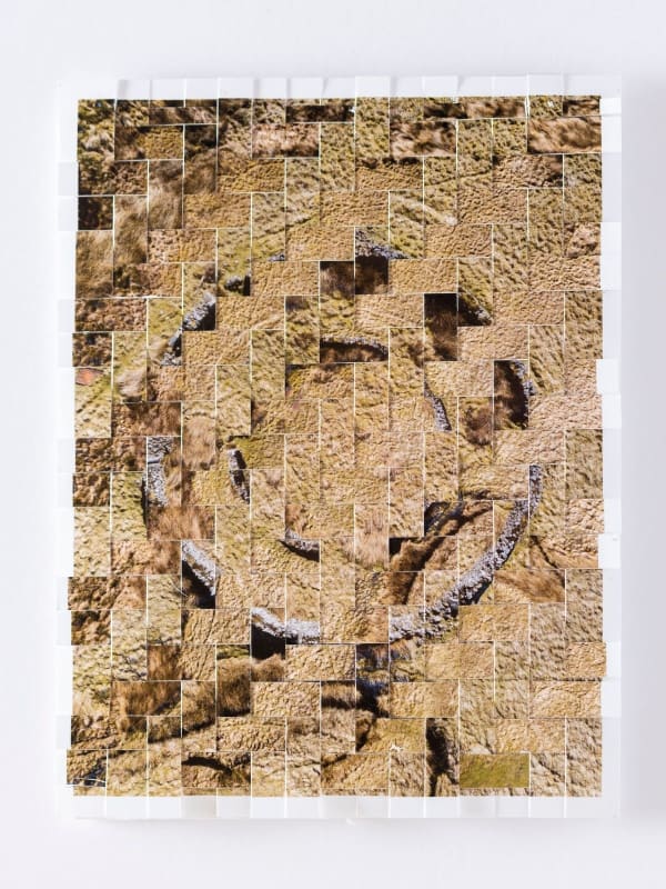 Kieran Dodds, Border Stell Study (Tweed), 2023