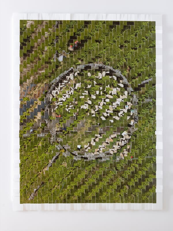 Kieran Dodds, Gathered Flock, Peebles (Tweed), 2023