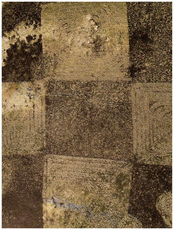 Kieran Dodds, Muirburn II, 2023