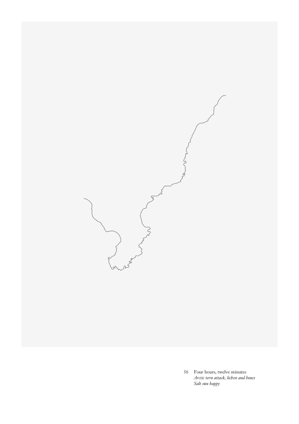 Frances Scott, Walk 36, Salt Sun Happy