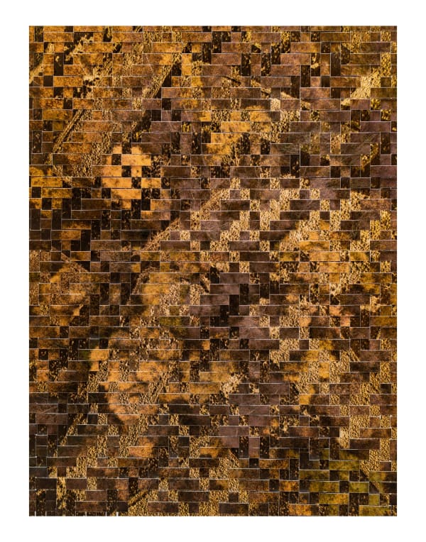 Kieran Dodds, Muirburn, Birchwood (Unbalanced), 2023