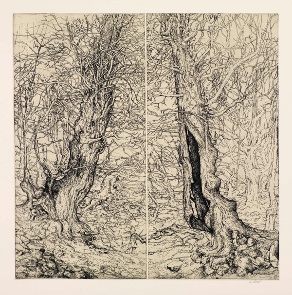 Ian Westacott Great Fraser Yew Artist Proof