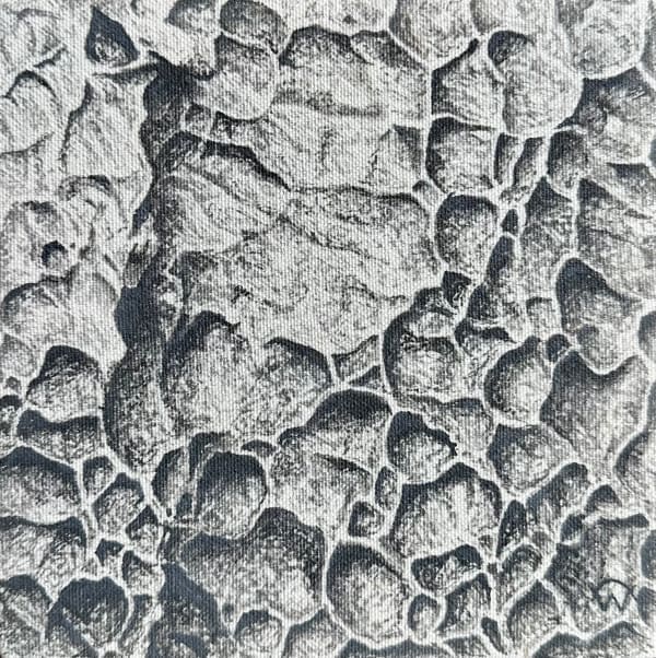 Calum Wallis, The Sea Shuffles It's Blue Deck