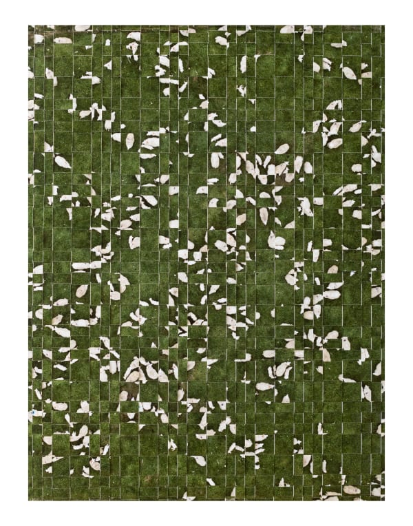 Kieran Dodds, Scattered Flock, Peebles (Ancient), 2023