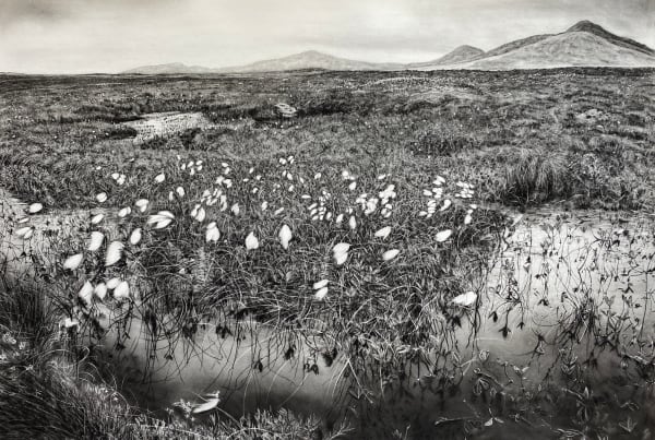 Magi Sinclair, The Last Wilderness of the North, 2022