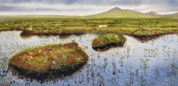 GREEN LEENS AND HILLS.