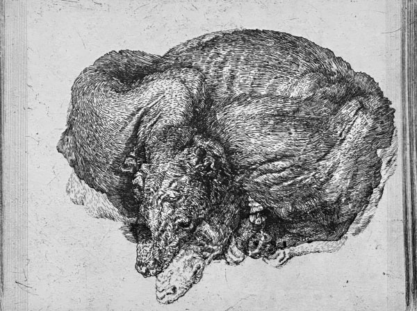 Raymond Arnold and Ian Westacott, Large Hound, 2022