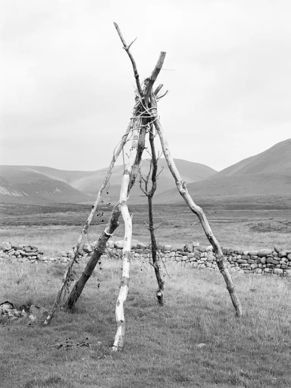 Frances Scott, Structure, Hoy