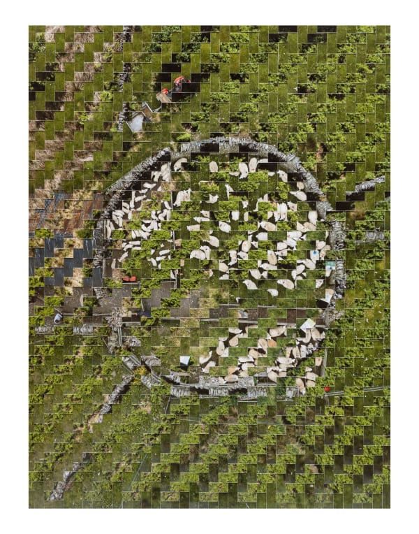 Kieran Dodds Gathered Flock, Peebles (Tweed), 2023 Edition of 10