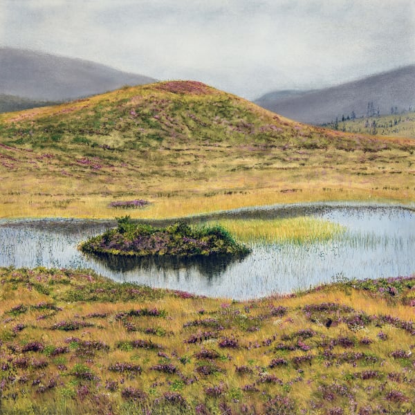 THE PURPLE HAZE HILL POOL, LAIRG.