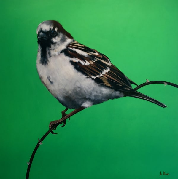 Sparrow on Green
