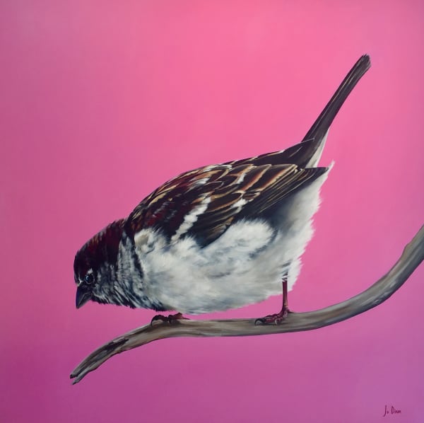 Jo Dixon, Sparrow on Pink