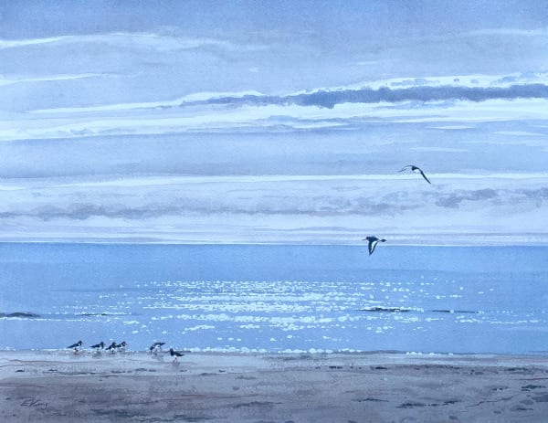 Parcel of Oyster Catchers