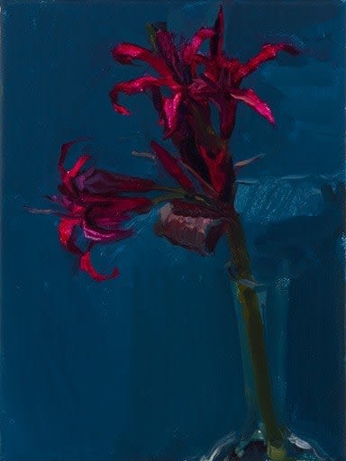 LAURA SMITH, Pinkness