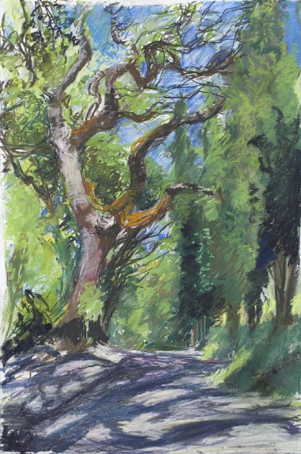 LINDA HEATHCOAT-AMORY, Shadows Pignano, 2017