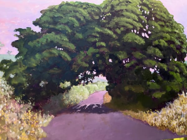 ED GILBERT, Sycamore (Acer Pseudoplantanus)